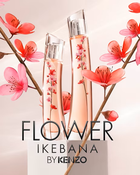IKEBANA SAKURA - 360 CAMPAIGN